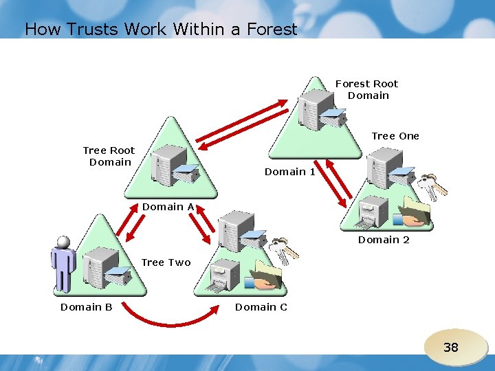 How Trusts Work Within a Forest Root Domain Tree One Tree Root Domain 1