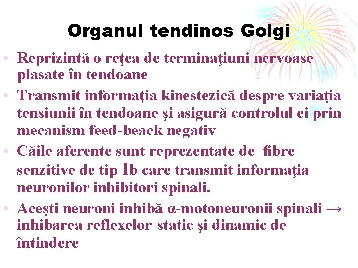 Organul tendinos Golgi • Reprizintă o reţea de terminaţiuni nervoase plasate în tendoane •