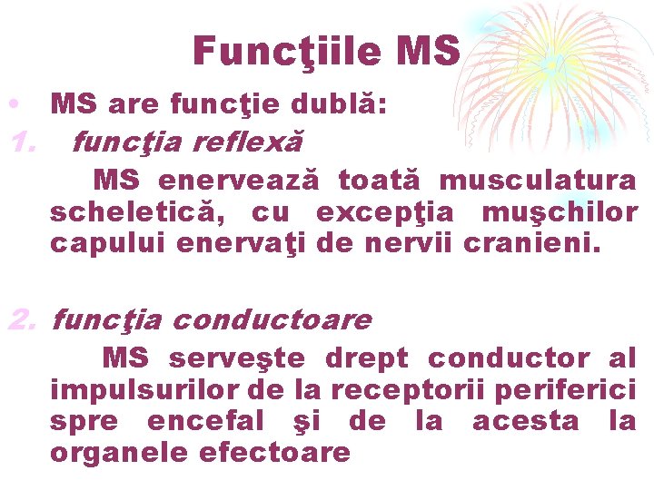 Funcţiile MS • MS are funcţie dublă: 1. funcţia reflexă MS enervează toată musculatura