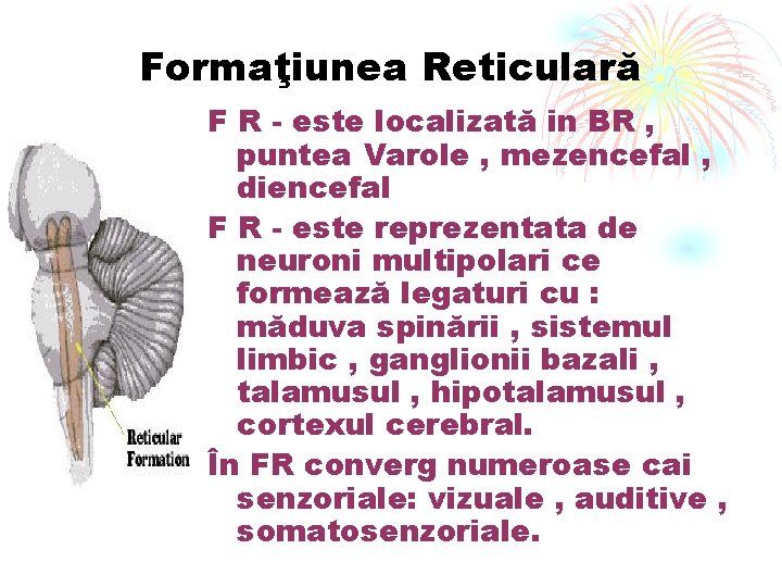 Formaţiunea Reticulară F R - este localizată in BR , puntea Varole , mezencefal