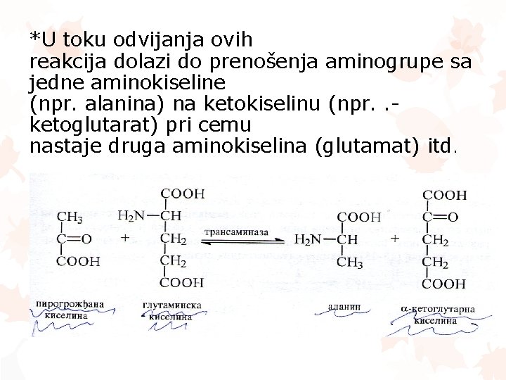 *U toku odvijanja ovih reakcija dolazi do prenošenja aminogrupe sa jedne aminokiseline (npr. alanina)