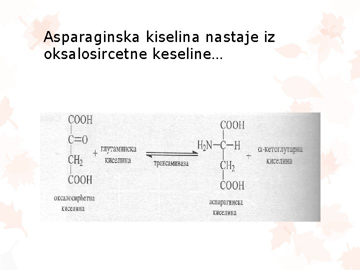 Asparaginska kiselina nastaje iz oksalosircetne keseline… 