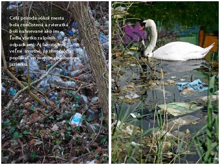 Celá príroda vôkol mesta bola znečistená a zvieratká boli nahnevané ako im ľudia všetko