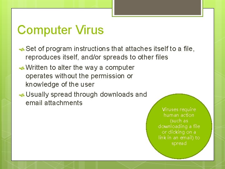 Computer Virus Set of program instructions that attaches itself to a file, reproduces itself,