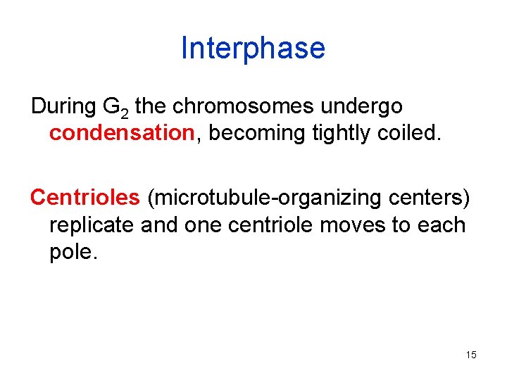 Interphase During G 2 the chromosomes undergo condensation, becoming tightly coiled. Centrioles (microtubule-organizing centers)