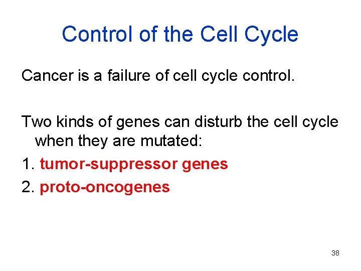 Control of the Cell Cycle Cancer is a failure of cell cycle control. Two