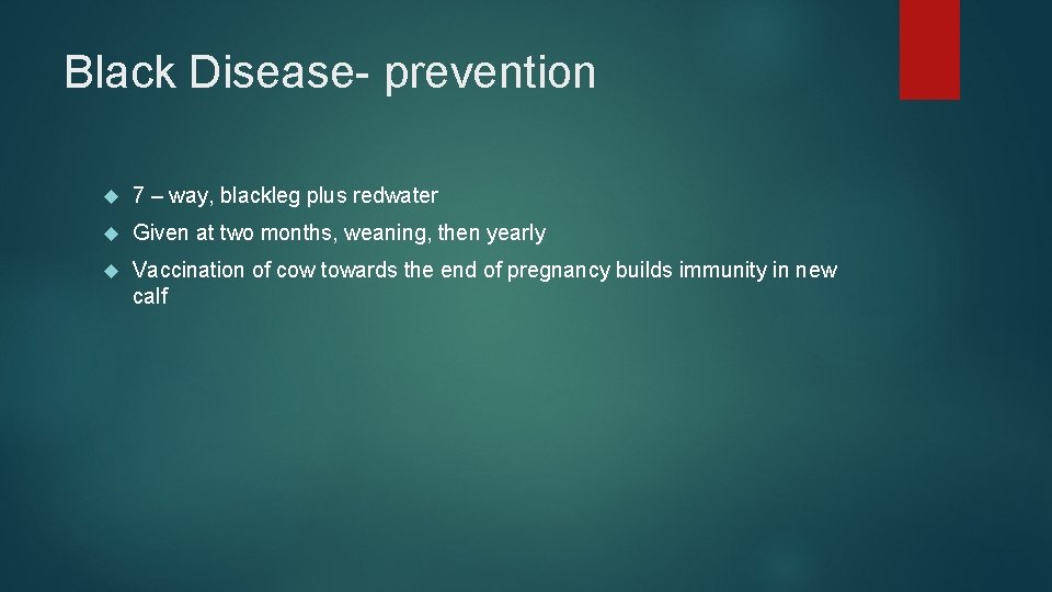 Black Disease- prevention 7 – way, blackleg plus redwater Given at two months, weaning,