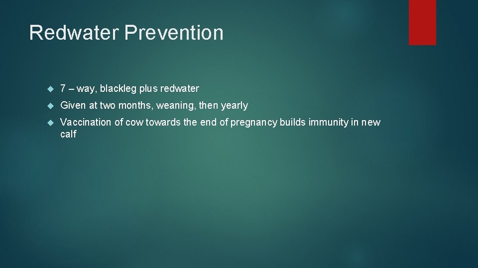 Redwater Prevention 7 – way, blackleg plus redwater Given at two months, weaning, then