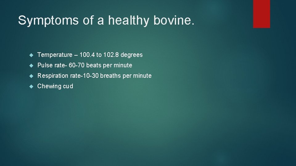 Symptoms of a healthy bovine. Temperature – 100. 4 to 102. 8 degrees Pulse