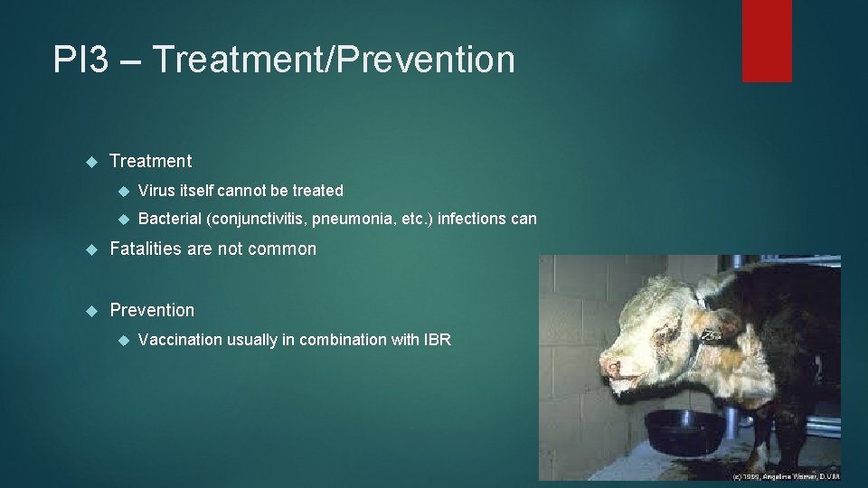 PI 3 – Treatment/Prevention Treatment Virus itself cannot be treated Bacterial (conjunctivitis, pneumonia, etc.