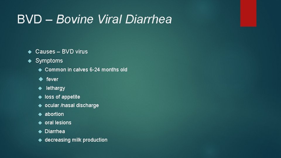 BVD – Bovine Viral Diarrhea Causes – BVD virus Symptoms Common in calves 6