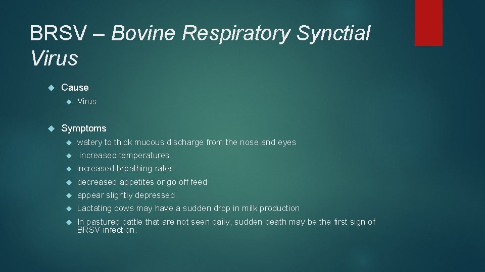 BRSV – Bovine Respiratory Synctial Virus Cause Virus Symptoms watery to thick mucous discharge