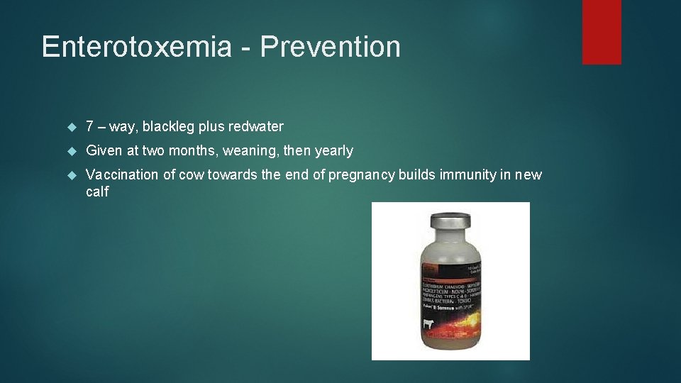 Enterotoxemia - Prevention 7 – way, blackleg plus redwater Given at two months, weaning,