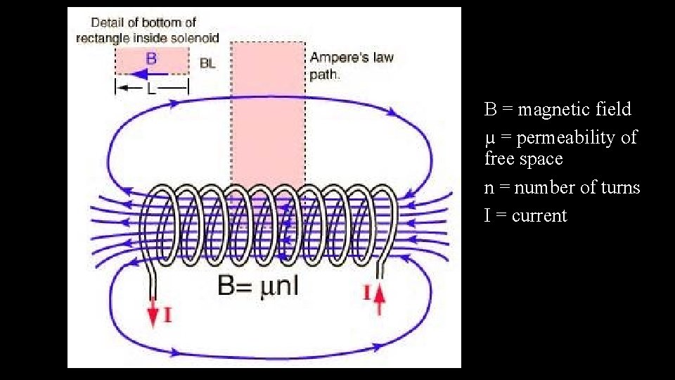 B = magnetic field µ = permeability of free space n = number of