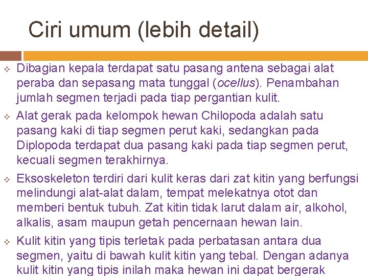 Ciri umum (lebih detail) v v Dibagian kepala terdapat satu pasang antena sebagai alat