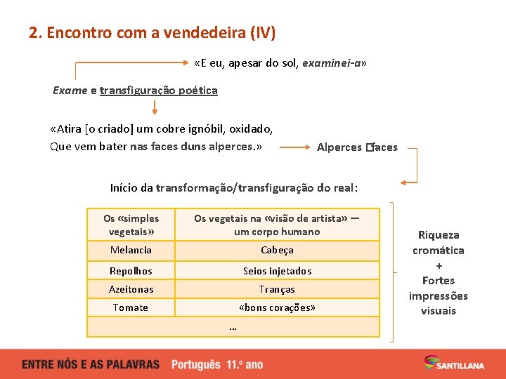 2. Encontro com a vendedeira (IV) «E eu, apesar do sol, examinei-a» Exame e