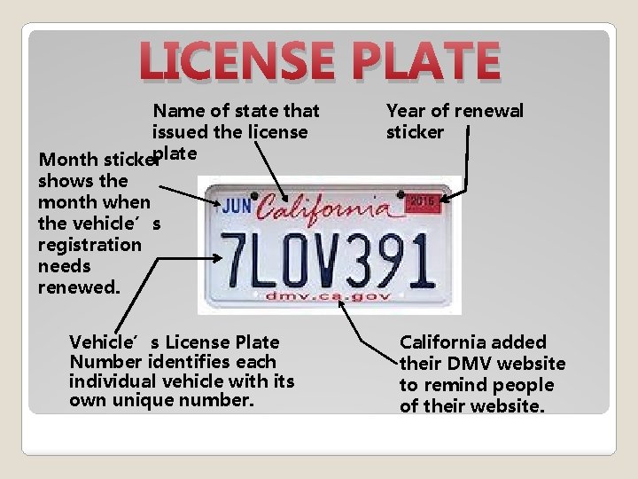LICENSE PLATE Name of state that issued the license plate Month sticker Year of