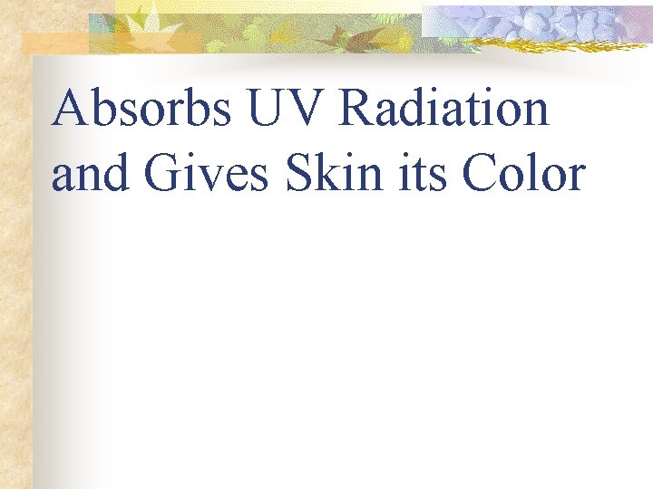 Absorbs UV Radiation and Gives Skin its Color 