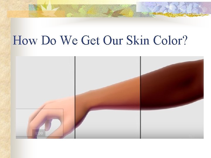 How Do We Get Our Skin Color? 