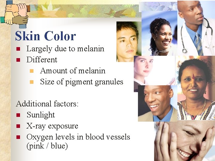 Skin Color n n Largely due to melanin Different n Amount of melanin n