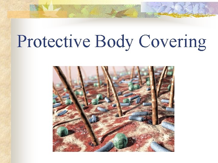 Protective Body Covering 