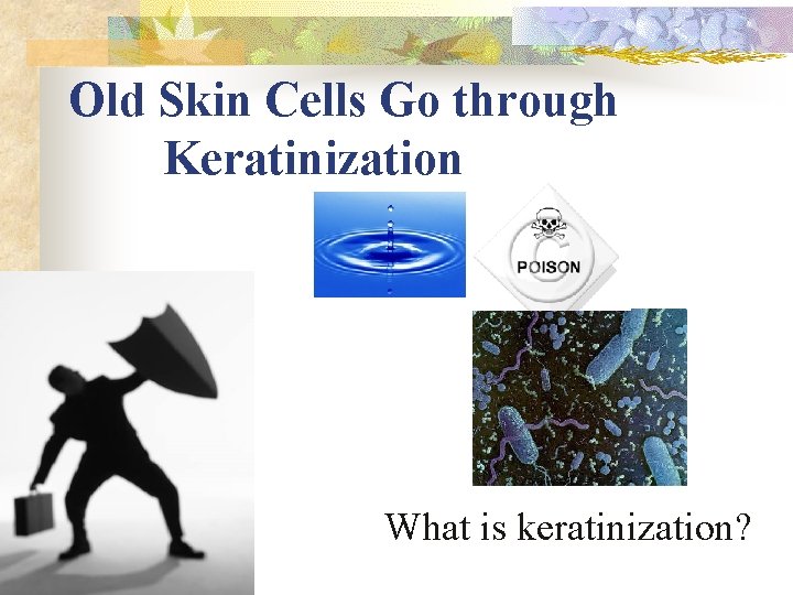 Old Skin Cells Go through Keratinization What is keratinization? 