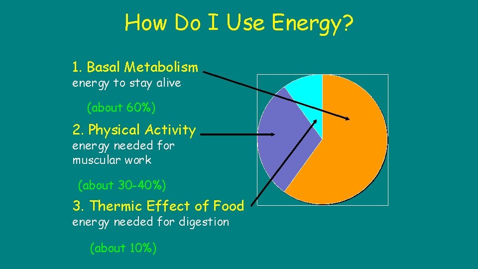 How Do I Use Energy? 1. Basal Metabolism energy to stay alive (about 60%)