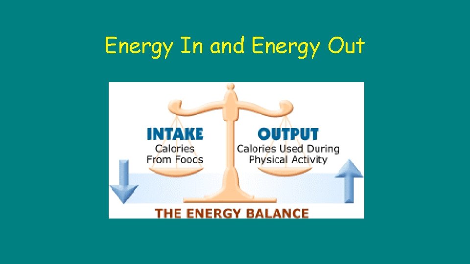 Energy In and Energy Out 