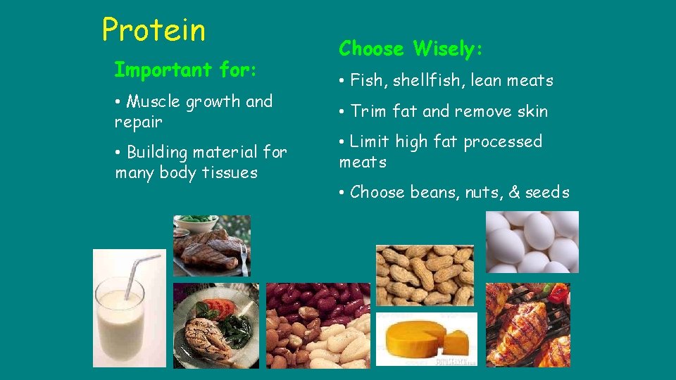 Protein Important for: • Muscle growth and repair • Building material for many body