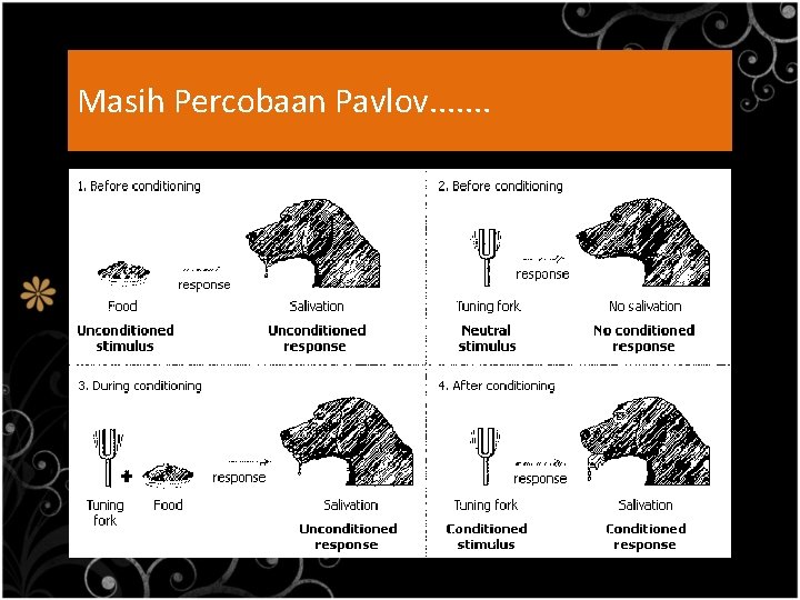 Masih Percobaan Pavlov. . . . 