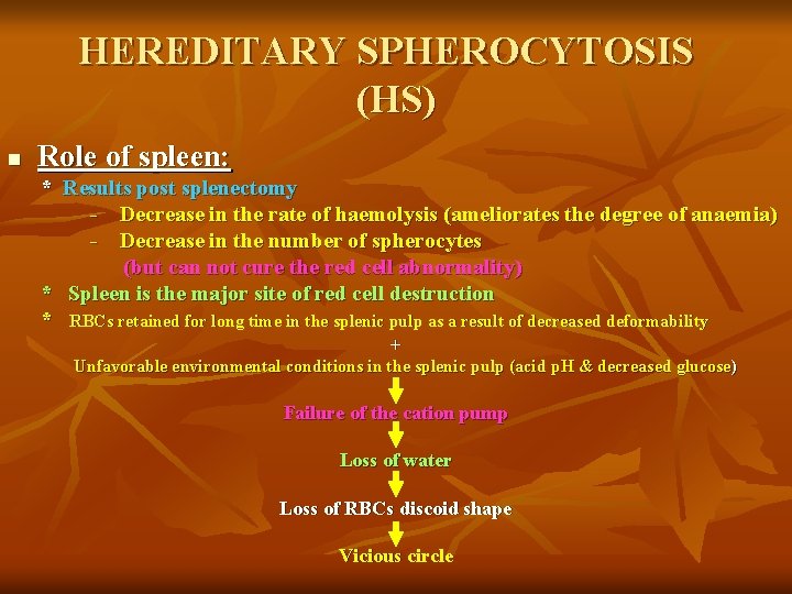 HEREDITARY SPHEROCYTOSIS (HS) n Role of spleen: * Results post splenectomy - Decrease in