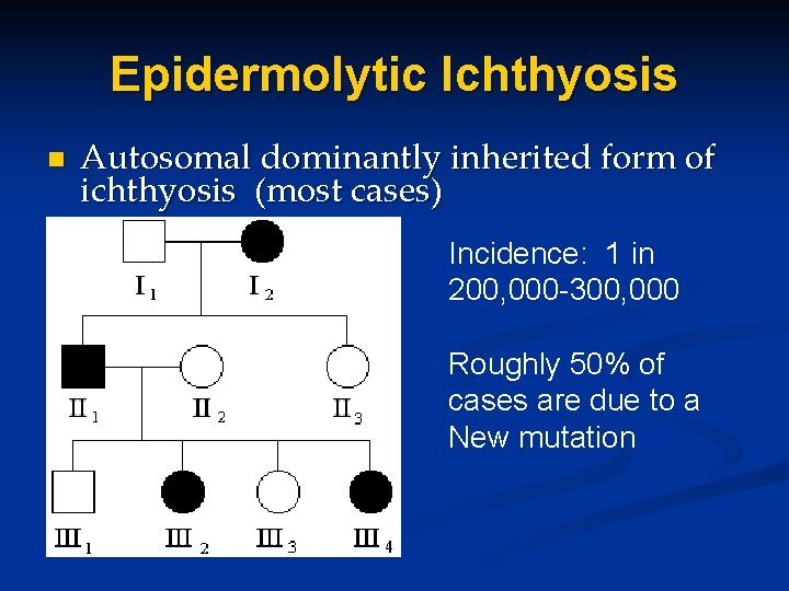 Epidermolytic Ichthyosis n Autosomal dominantly inherited form of ichthyosis (most cases) Incidence: 1 in Epidermolytic Ichthyosis n Autosomal dominantly inherited form of ichthyosis (most cases) Incidence: 1 in