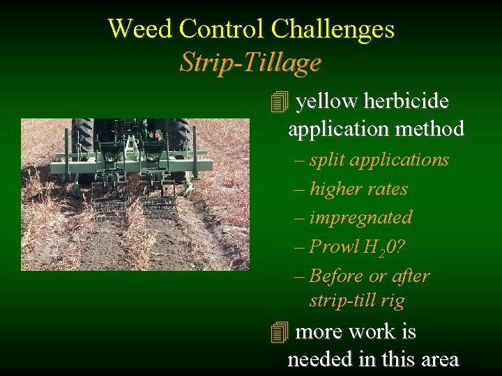 Weed Control Challenges Strip-Tillage 4 yellow herbicide application method – split applications – higher