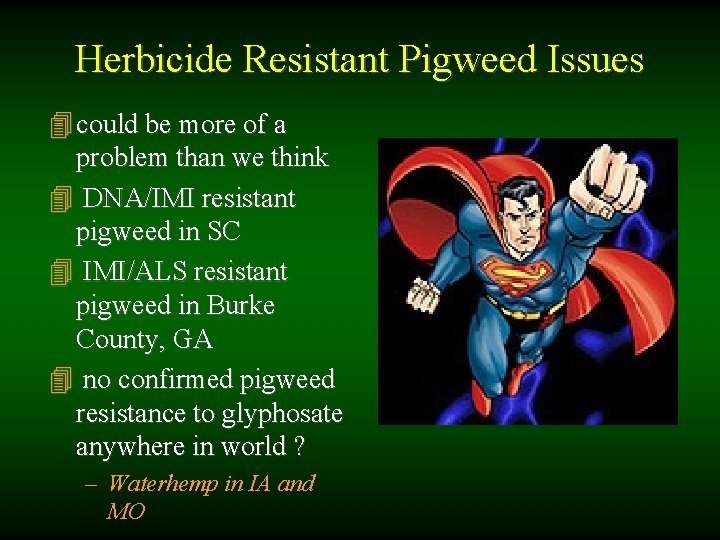 Herbicide Resistant Pigweed Issues 4 could be more of a problem than we think