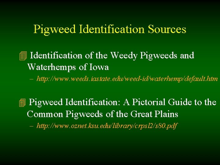 Pigweed Identification Sources 4 Identification of the Weedy Pigweeds and Waterhemps of Iowa –