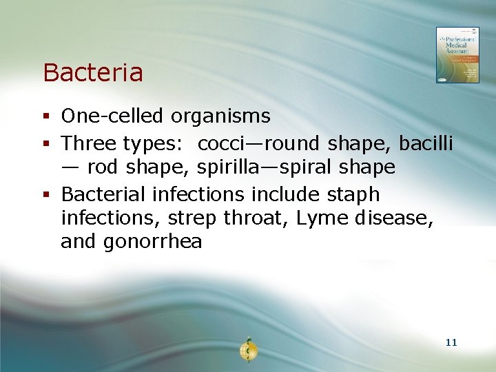 Bacteria § One-celled organisms § Three types: cocci—round shape, bacilli — rod shape, spirilla—spiral