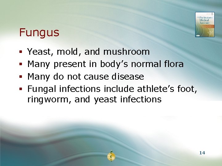 Fungus § § Yeast, mold, and mushroom Many present in body’s normal flora Many