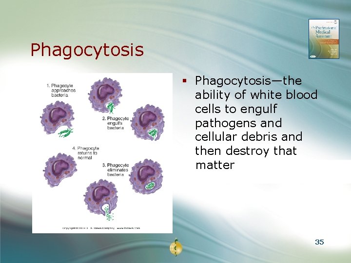 Phagocytosis § Phagocytosis—the ability of white blood cells to engulf pathogens and cellular debris