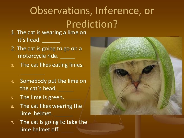 Observations, Inference, or Prediction? 1. The cat is wearing a lime on it’s head.