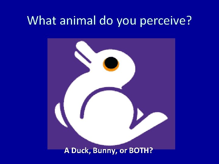 What animal do you perceive? A Duck, Bunny, or BOTH? 