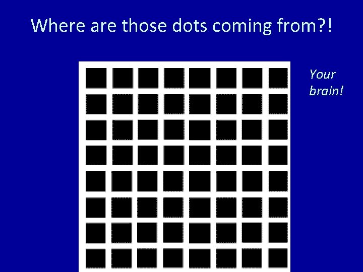 Where are those dots coming from? ! Your brain! 