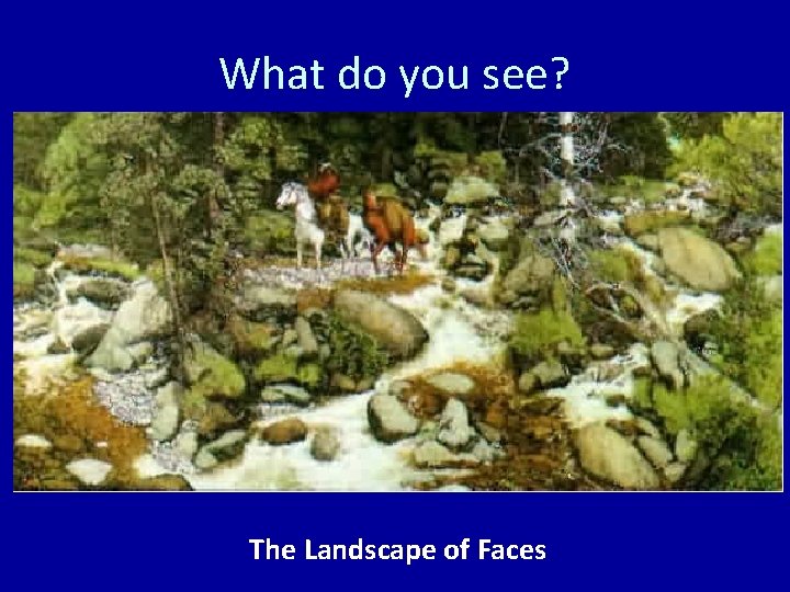 What do you see? The Landscape of Faces 