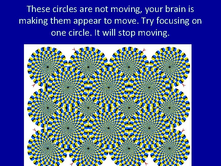 These circles are not moving, your brain is making them appear to move. Try