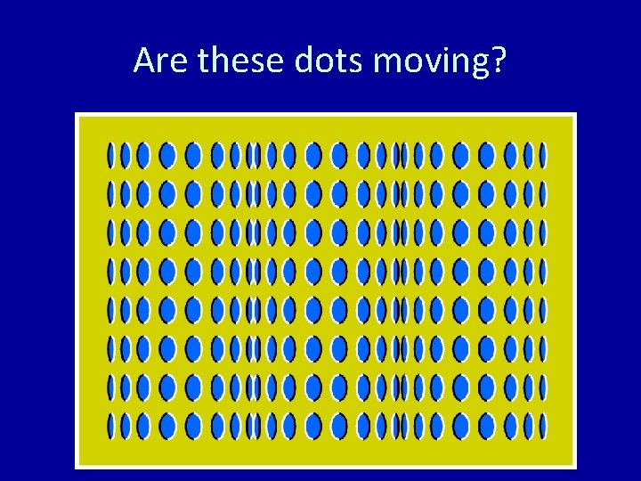 Are these dots moving? 