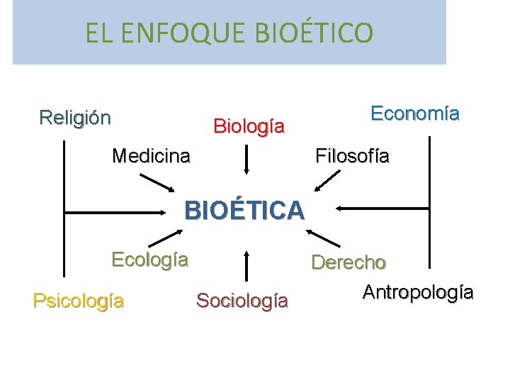 EL ENFOQUE BIOÉTICO Religión Biología Medicina Economía Filosofía BIOÉTICA Ecología Psicología Sociología Derecho Antropología