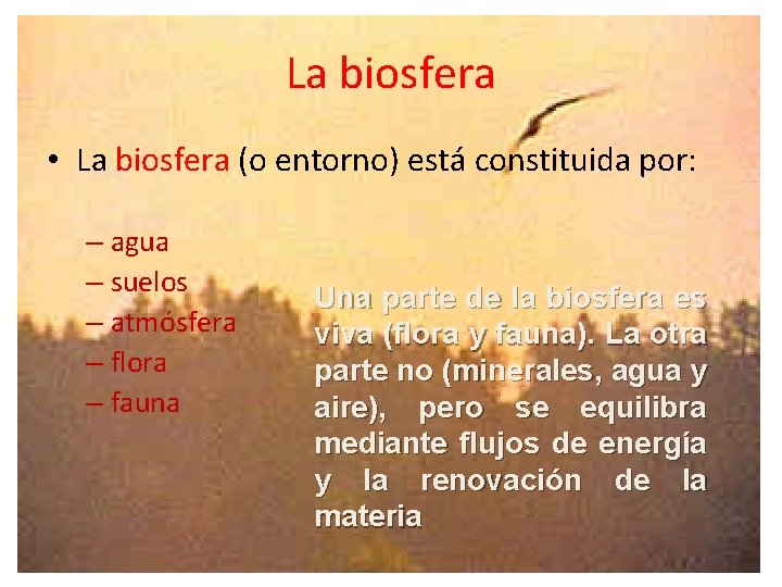 La biosfera • La biosfera (o entorno) está constituida por: – agua – suelos