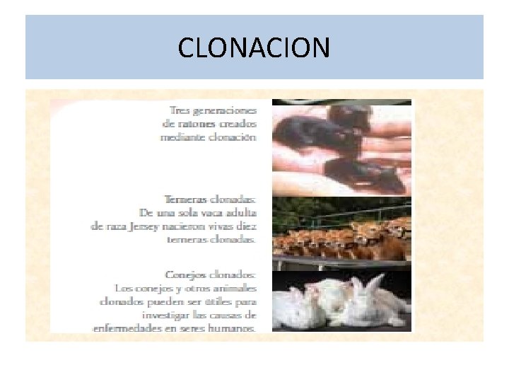 CLONACION 