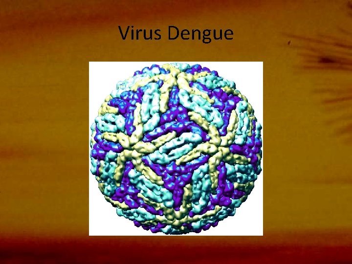 Virus Dengue 