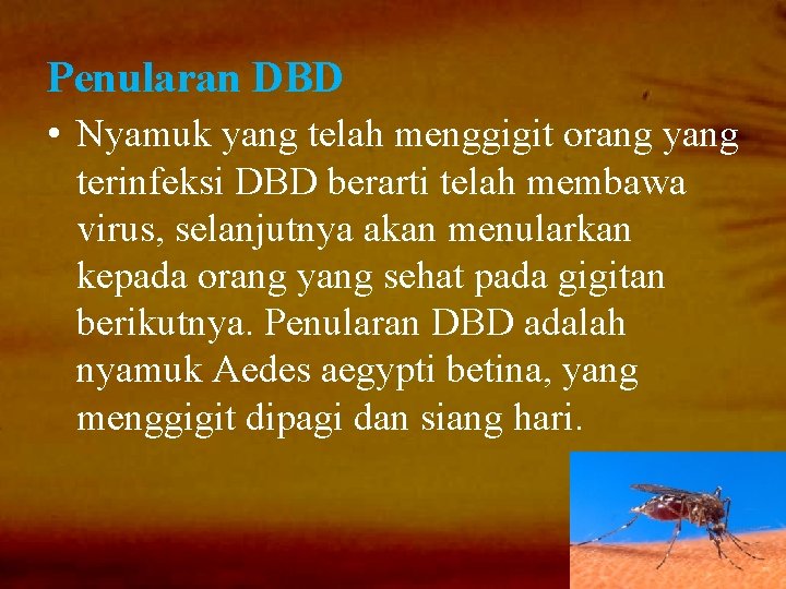 Penularan DBD • Nyamuk yang telah menggigit orang yang terinfeksi DBD berarti telah membawa