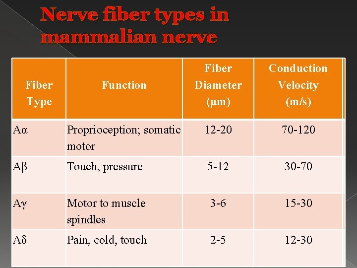 Nerve fiber types in mammalian nerve � Fiber Type Function Fiber Diameter (μm) Conduction
